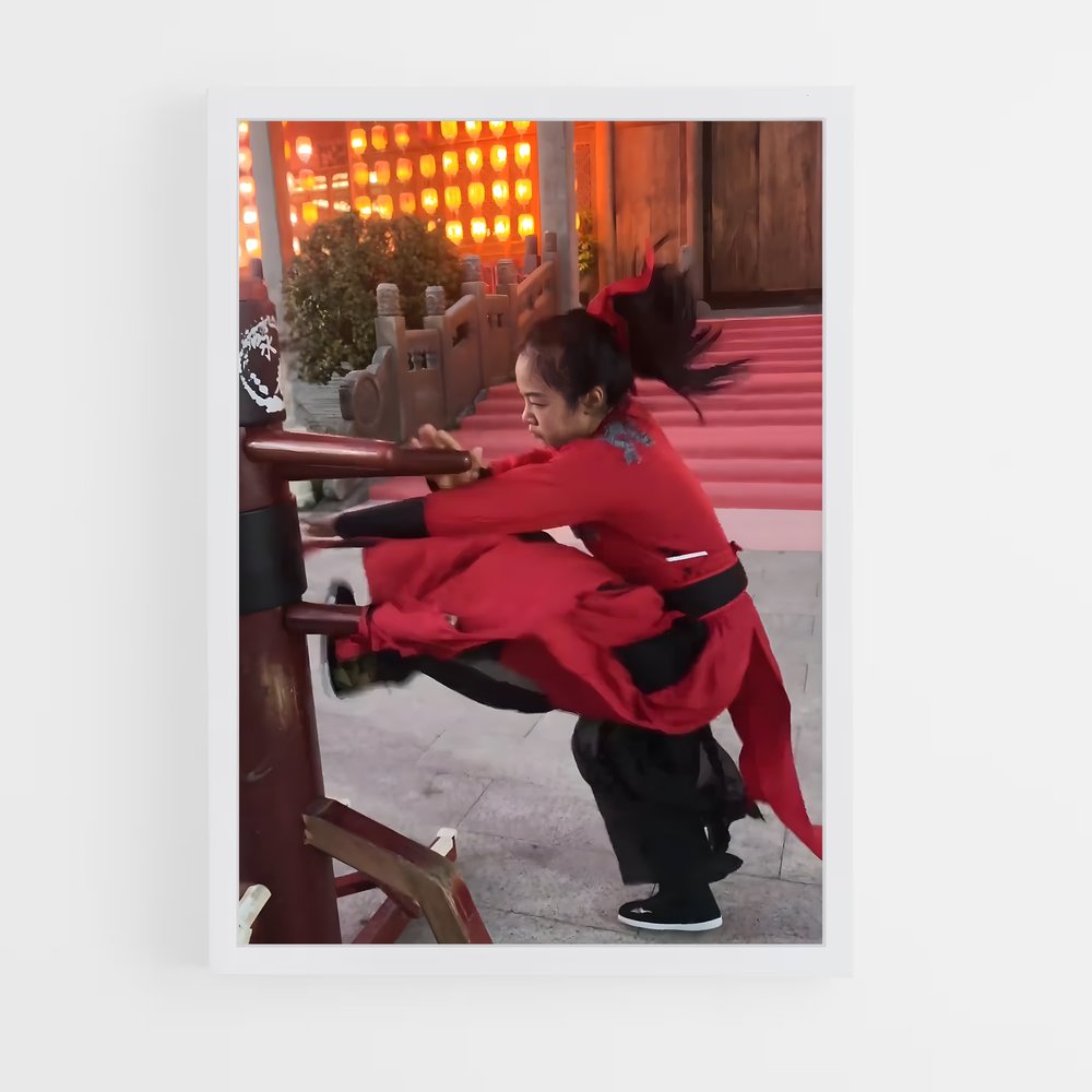 Poster Wing chun (vue 3)